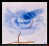 ARBRES_IV.jpg (30602 octets)