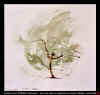 ARBRES_I.jpg (25742 octets)