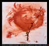 ARBRES_VI.jpg (42482 octets)