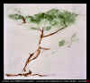 ARBRES_XI.jpg (30789 octets)