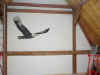 AIGLE.jpg (314278 octets)