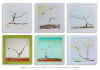 ARBRES-PAPIER-1.jpg (129283 octets)