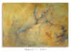 REGARD-II.jpg (109421 octets)