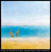 PRASLIN.jpg (30824 octets)