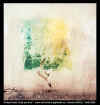 a_pluie.jpg (24733 octets)