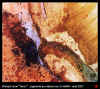 terre1.jpg (48043 octets)